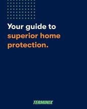 Your Guide to Superior Home Protection