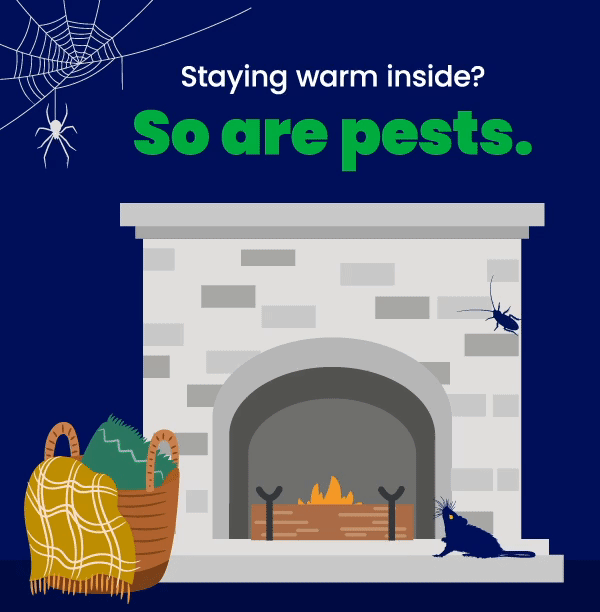 No pests in sight make this season merry and bright.