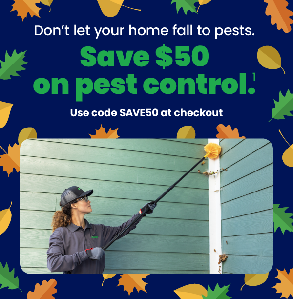 Don't let your home fall to pests.