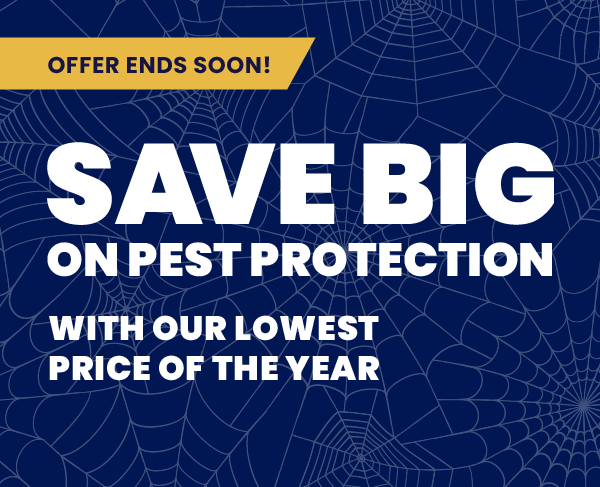 OFFER ENDS SOON! | SAVE BIG ON PEST PROTECTION WITH OUR LOWEST PRICE OF THE YEAR