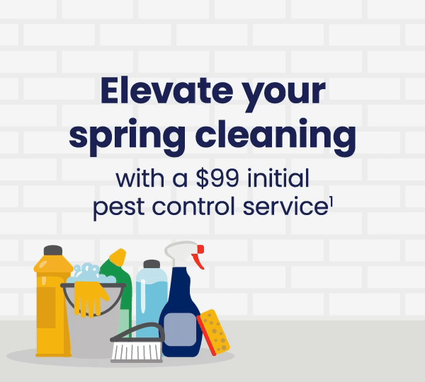 Elevate your spring cleaning